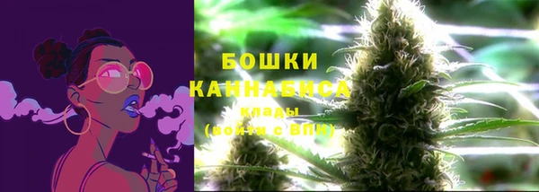 PSILOCYBIN Майский