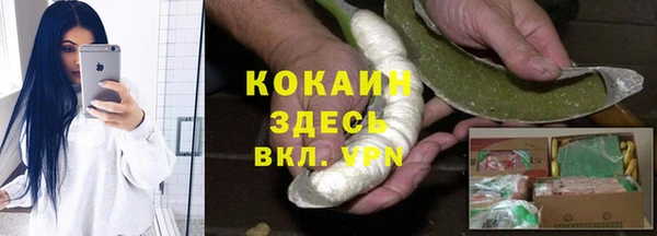 PSILOCYBIN Майский