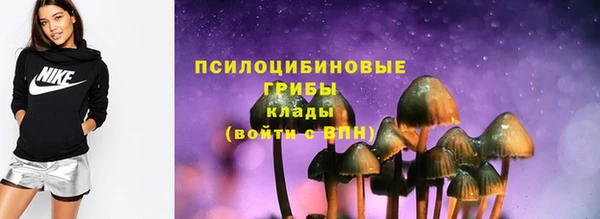 PSILOCYBIN Майский