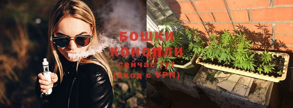 PSILOCYBIN Майский