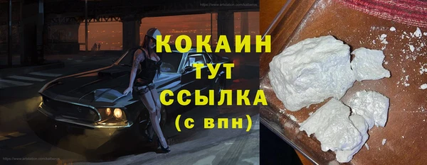 PSILOCYBIN Майский