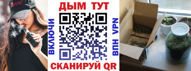 Купить где  Кольчугино  Марихуана THC 21% 